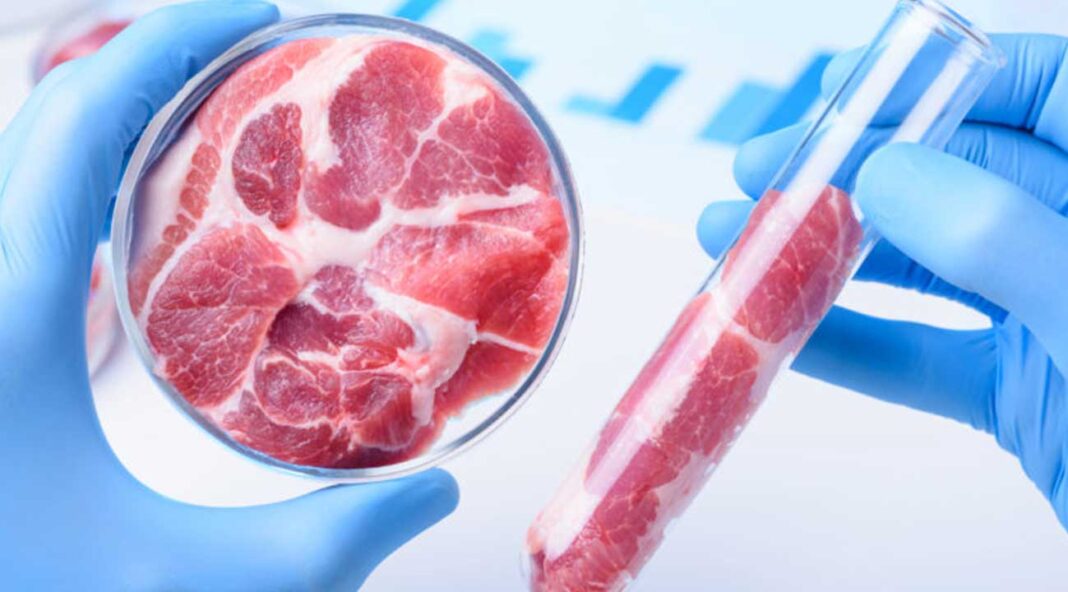cultured-meat-industry