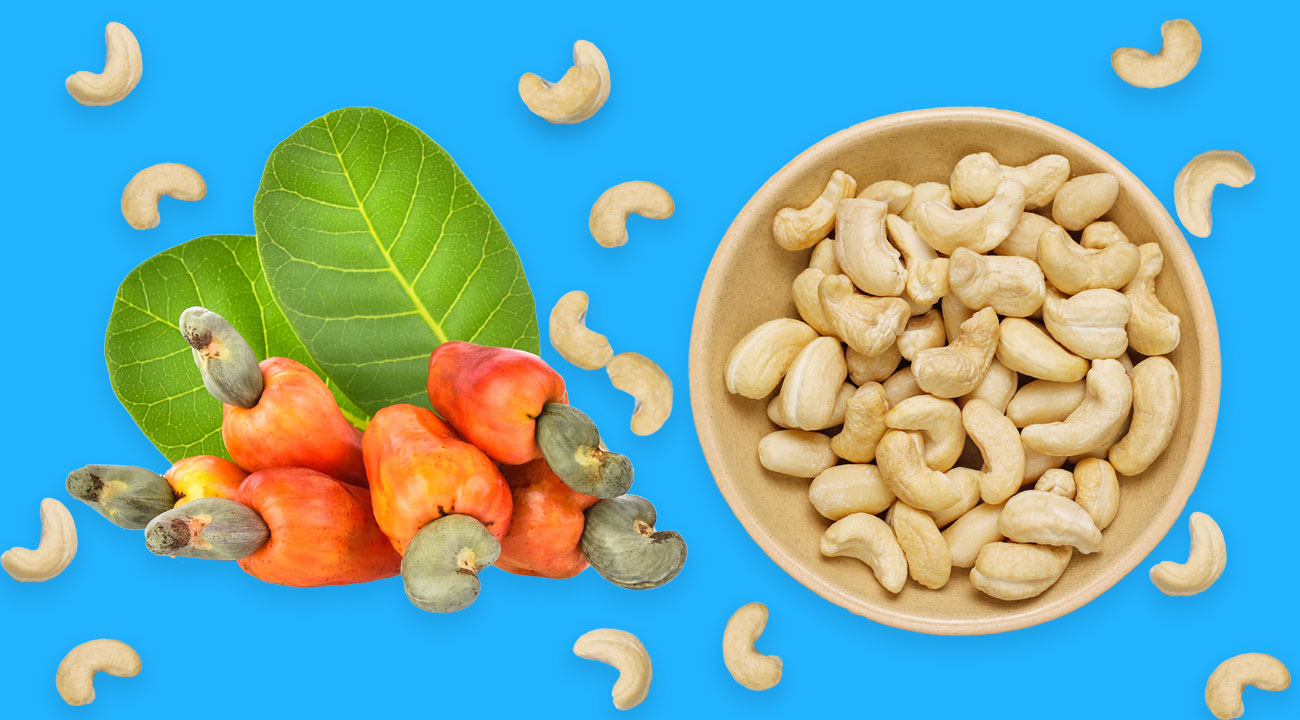 Why Cashew Nuts are So Expensive Than Other Nuts? Business Inspection