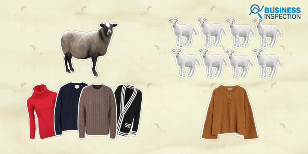 While one sheep's wool can be used to make four sweaters, a single cashmere sweater requires the wool of four to eight goats.
