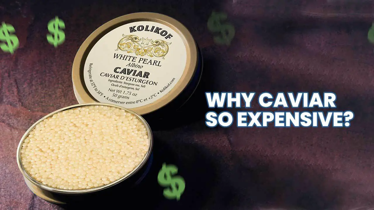Why Is Caviar Expensive?